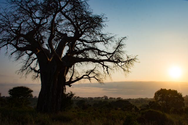 Tarangire Ndovu Camp - Accommodation Review - Location
